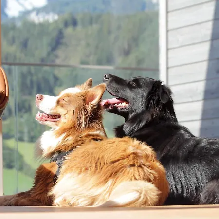 Chalet Chill House Schladming